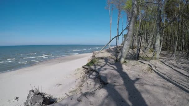 Γκρεμός Του Orchzechowo Στην Ακτή Της Βαλτικής Θάλασσας Στην Πολωνία — Αρχείο Βίντεο