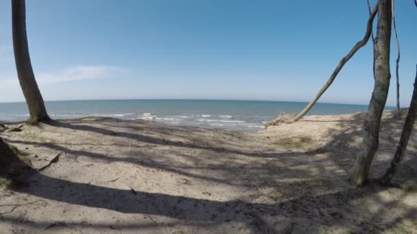 Klippe Von Orchsechowo Der Ostseeküste Polen — Stockvideo