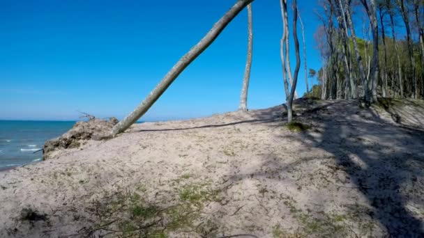 奥热乔沃悬崖 在波兰波罗的海沿岸 — 图库视频影像