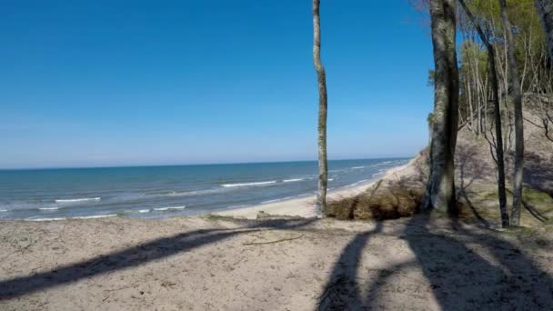 Scogliera Orchzechowo Sulla Costa Del Mar Baltico Polonia — Video Stock