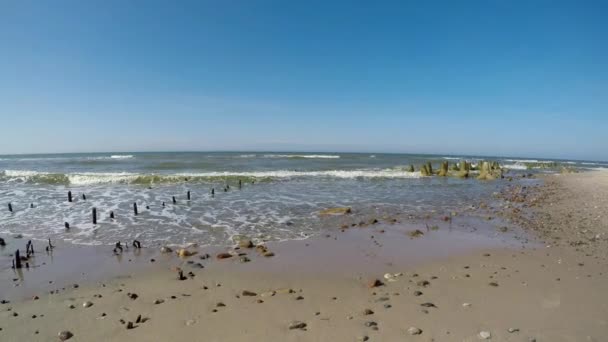 Beach Orzechowo Üzerinde Baltık Denizi Polonya — Stok video