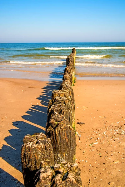 Velhas virilhas no Mar Báltico com céu azul — Fotografia de Stock