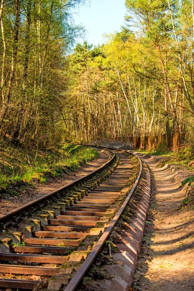 A lengyelországi erdőben a sínek sorrendje — Stock Fotó