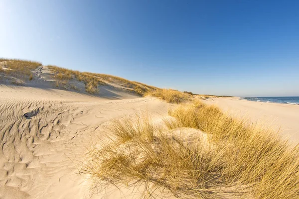 Praia solitária do Mar Báltico — Fotografia de Stock