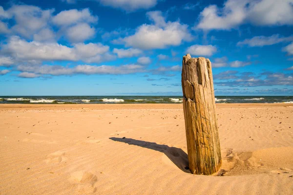 Praia do Mar Báltico em Orzechowo, Polônia, com troncos — Fotografia de Stock