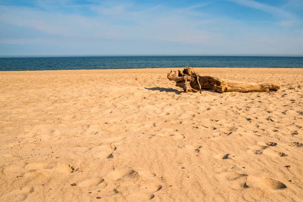 Derivados em uma praia do Mar Báltico — Fotografia de Stock