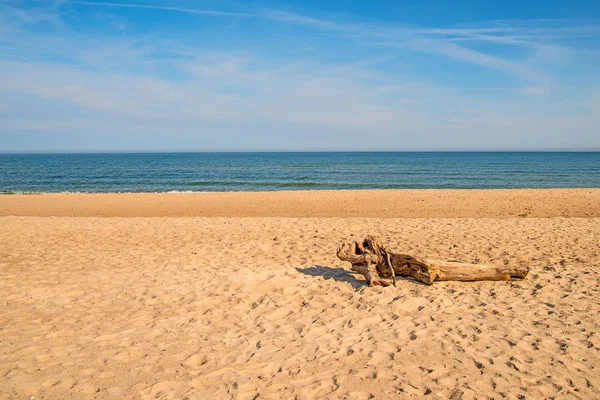 Madera a la deriva en una playa del Mar Báltico — Foto de Stock