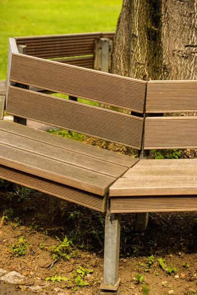 Park bench around e tree — Stock Photo, Image