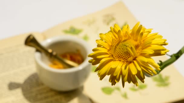 Vanliga Ringblomma Medicinalväxt Med Blomma Och Murbruk Bakgrunden — Stockvideo