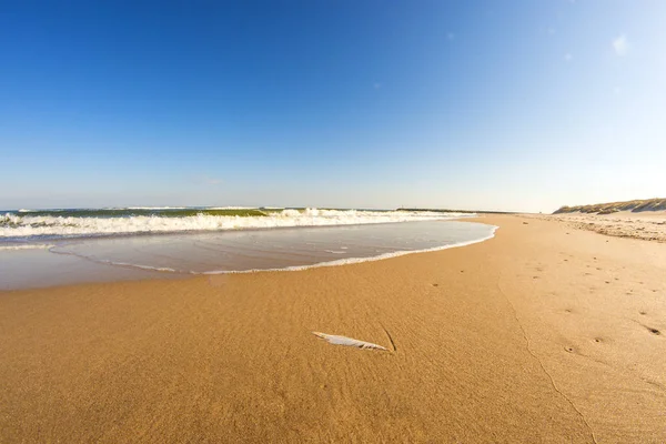 Самотній пляж Балтійського моря з синім небом і серфінгом — стокове фото
