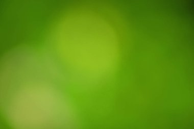 Dairelerle bulanık yeşil renk arka plan