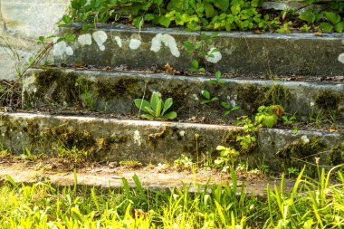 yeşil ile eski, ortaçağ merdivenleri