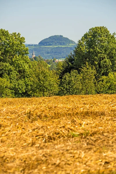 Campo de trigo colhido com vista panorâmica — Fotografia de Stock