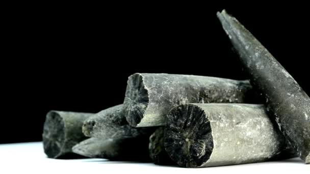 Belmemnoids Calcite Gardes Sur Une Table Tournante — Video