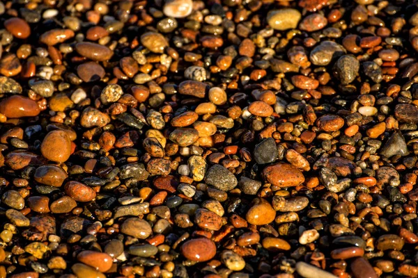 Piedras de guijarro en una playa — Foto de Stock