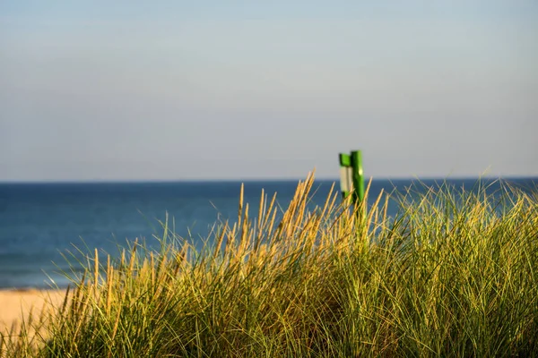 Mer Baltique en Pologne, plage avec herbe de plage et table — Photo