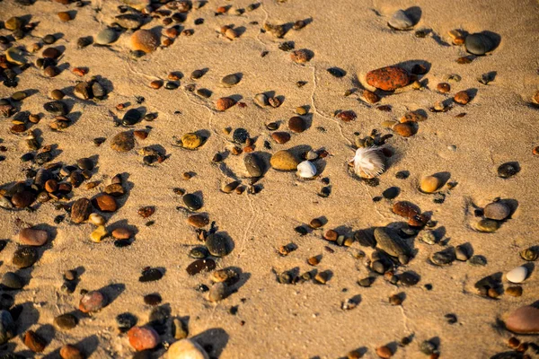 Piedras de guijarros en una playa de arena con pluma — Foto de Stock