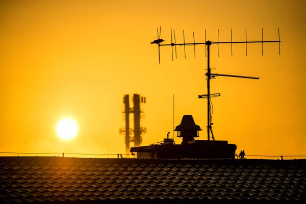Nascer do sol em uma cidade com telhado da casa e antena — Fotografia de Stock