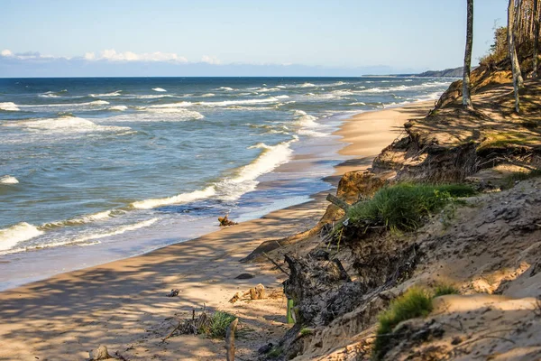 Ostsee in Polen mit Kiefern und Dünen — Stockfoto