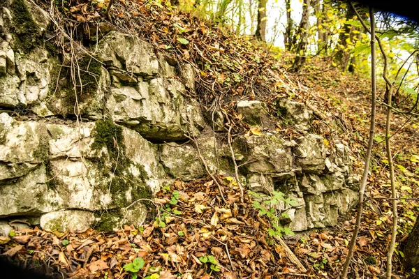 Jura-Kalksteinverschiebungen der Schwäbischen Alb in Deutschland — Stockfoto