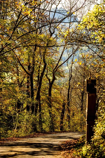 Calvary with station of the cross in autumn — Stock Photo, Image