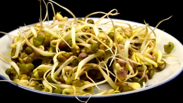 Soybean Sprouts Turn Table — Stock Video