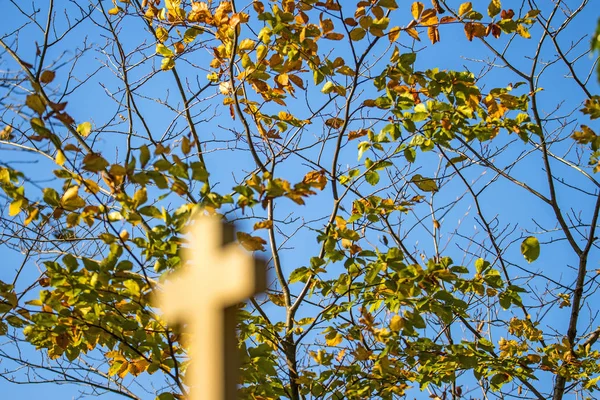 cross of a pilgrim way with autumnal painted leaves