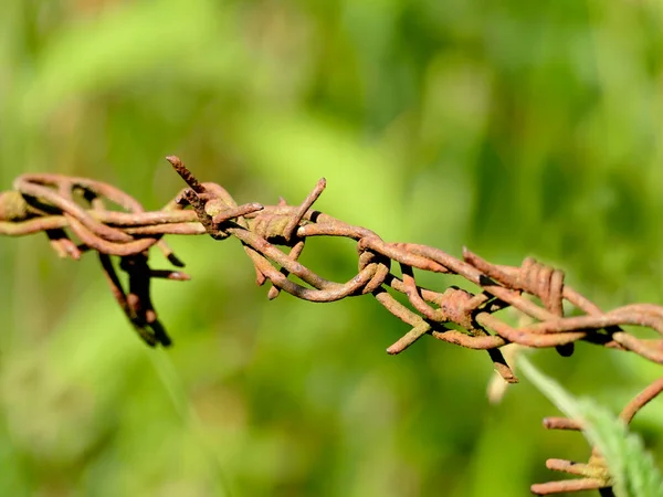 Old Rusty Barbed Wire Green Blurred Background — Stock Photo, Image
