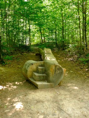 Üzerinde yürüyecek ağaç olan yalın ayak izi.