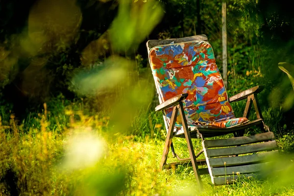 Liegestuhl Einem Privaten Garten Versteckt Hinter Grün — Stockfoto