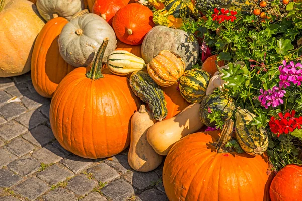 Almanya Bir Sokakta Dekorasyon Için Squash — Stok fotoğraf