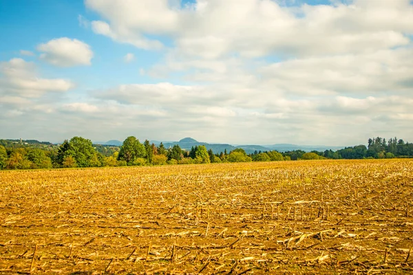 Harvested Corn Field Mountain Background — Stock Photo, Image