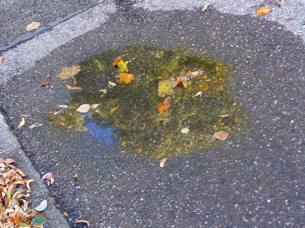 Herbstliche Blätter Auf Einer Straße Einem Kleinen Wasserbecken Mit Verspiegelten — Stockfoto