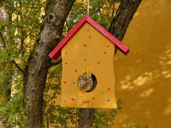 Vogelvoeder Een Boom — Stockfoto