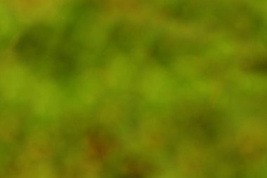 Background of autumnal colors of blurred leaves and grass