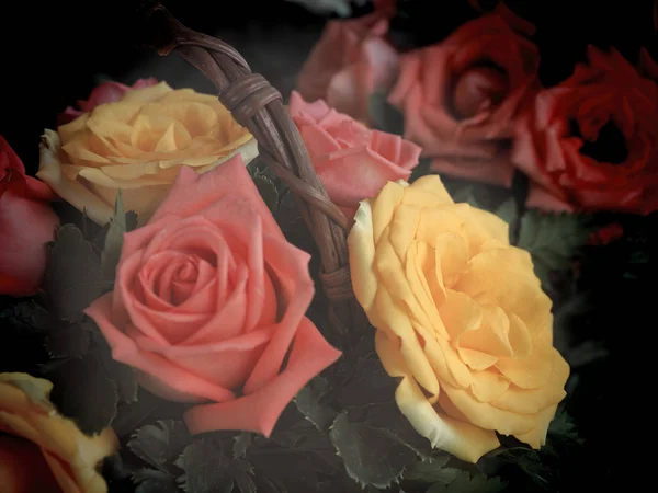 篮子里的黄色和粉色玫瑰 — 图库照片