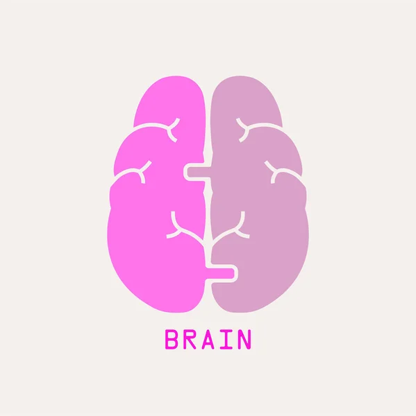 Coordenação Cerebral Cérebro Funciona Conceito Pensar Ilustração Vetorial —  Vetores de Stock