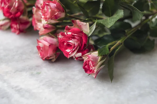 Bouquet of pink small roses on marble table — Stock Photo, Image