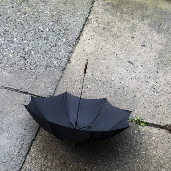 Open Zwarte Paraplu Rusten Betonnen Ondergrond Van Bovenaf — Stockfoto