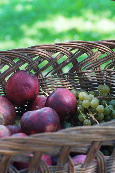 Organicznych Owoców Koszyku Lato Trawy Świeże Winogrona Jabłka Przyrodzie — Zdjęcie stockowe