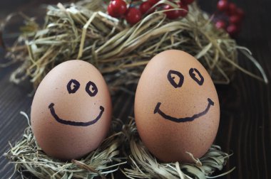  Saman üzerinde çizilmiş komik yüzleri ile Yumurta.