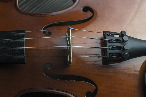 Violín tumbado sobre fondo de madera . —  Fotos de Stock