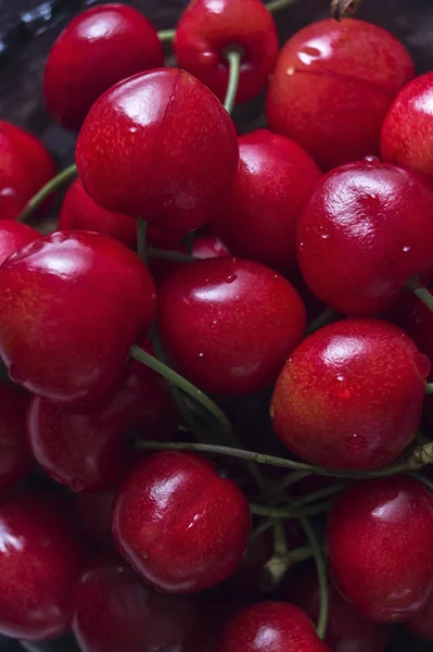 Gros plan de la pile de cerises mûres avec des tiges — Photo