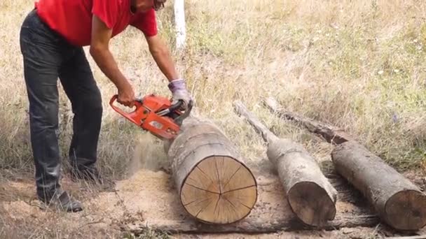 Cutting Wood Chainsaw — стоковое видео
