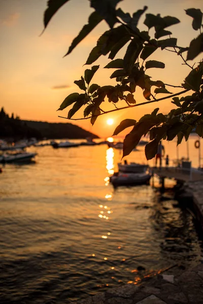 Kleurrijke Sunset Afgezwakt Boten Gedokt Marina Stockfoto
