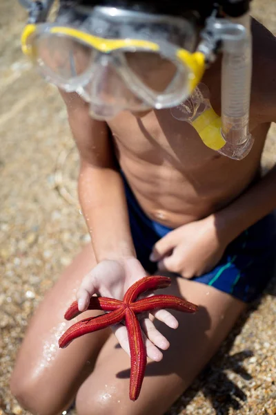boy holding red five point starfish and net in his hands on the beach