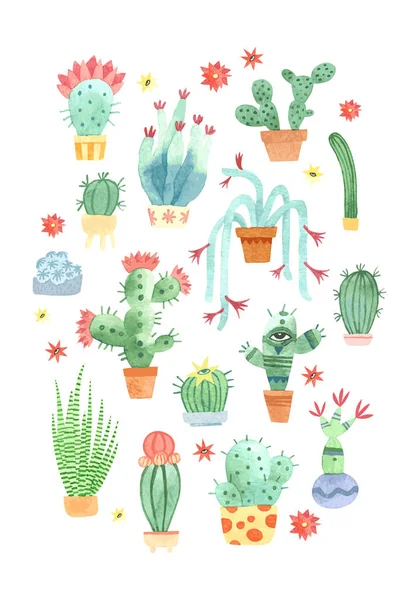 Cactus aquarelle mis sur blanc. Illustration vectorielle . — Image vectorielle