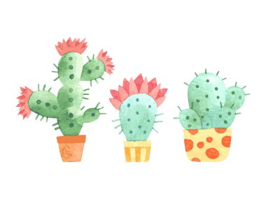 Beyaz ağaç suluboya kaktüsler. Vektör çizimi.