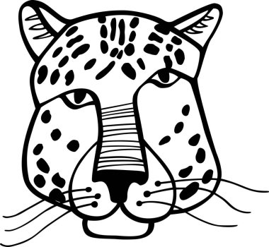 Siyah ve beyaz leopar surat. Çizgi çizimi. Vektör çizimi.