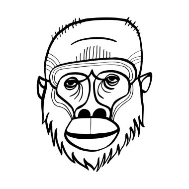 Orangutan yüz vektör çizimi. Çizgi çizimi. Dövme tasarımı. Kabile etnik totemi. Grafik biçiminde el çizimi, siyah ve beyaz.